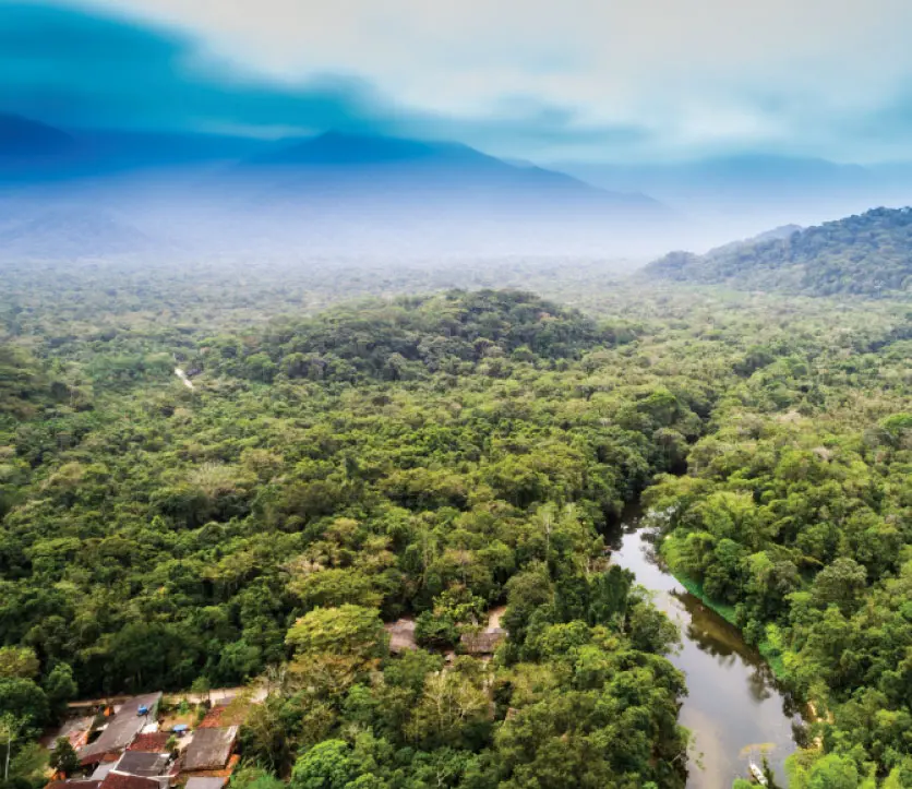 Documenting forest and indigenous land with partners at Cool Earth in India